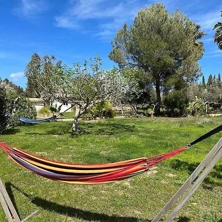 Finca Roberto Holiday home *